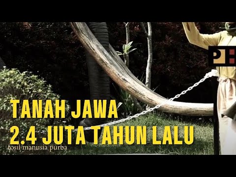 Manusia Purba
